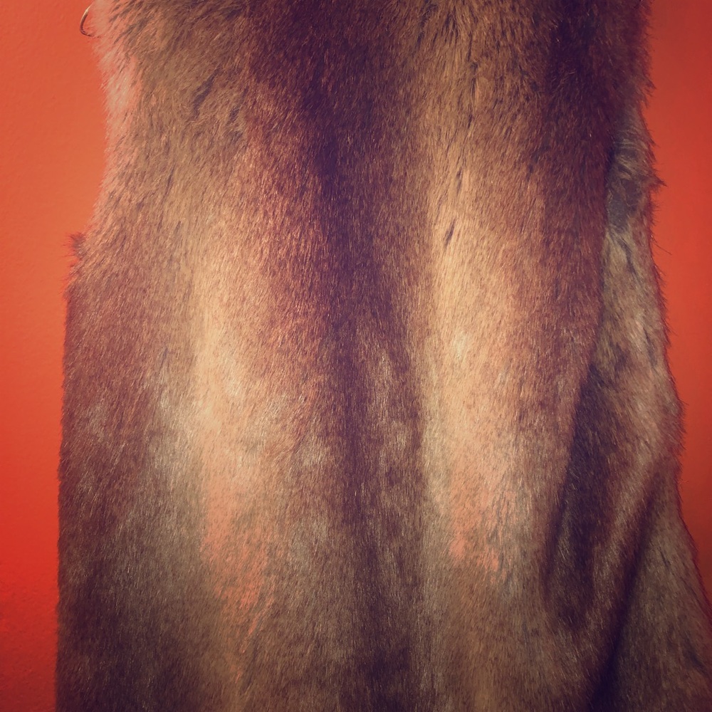 Zara Faux Fur Vest